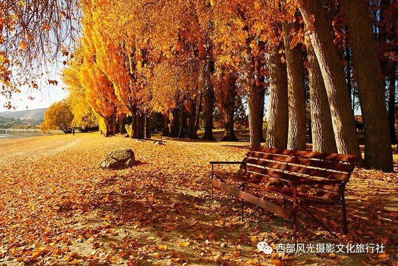 加缪：“不可战胜的夏天”从何而来？