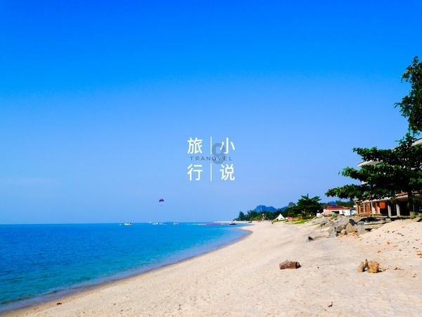 纯素食八周降“三高”？风险太大